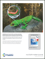 Graphical abstract: Back cover