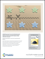 Graphical abstract: Back cover