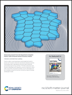 Graphical abstract: Back cover