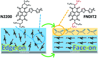 Graphical abstract: Face-on reorientation of π-conjugated polymers in thin films by surface-segregated monolayers