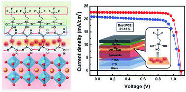 Graphical abstract: Incorporating self-assembled silane-crosslinked carbon dots into perovskite solar cells to improve efficiency and stability