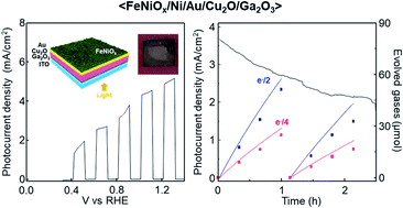 Graphical abstract: Triple layered Ga2O3/Cu2O/Au photoanodes with enhanced photoactivity and stability prepared using iron nickel oxide catalysts