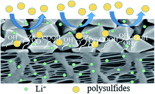 Graphical abstract: Investigation of the mechanism of metal–organic frameworks preventing polysulfide shuttling from the perspective of composition and structure