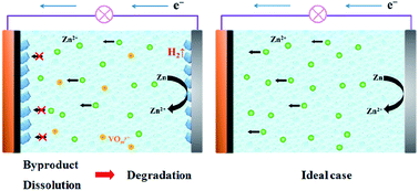 Graphical abstract: The degradation mechanism of vanadium oxide-based aqueous zinc-ion batteries