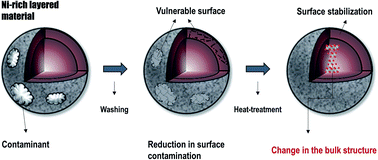 Graphical abstract: Enhancing the structural durability of Ni-rich layered materials by post-process: washing and heat-treatment