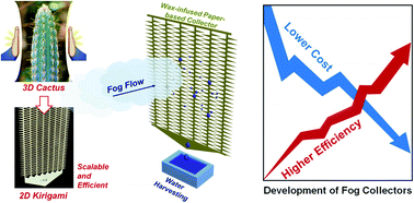 Graphical abstract: Cactus kirigami for efficient fog harvesting: simplifying a 3D cactus into 2D paper art