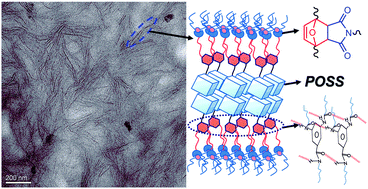Graphical abstract: Transparent, robust, water-resistant and high-barrier self-healing elastomers reinforced with dynamic supramolecular nanosheets with switchable interfacial connections