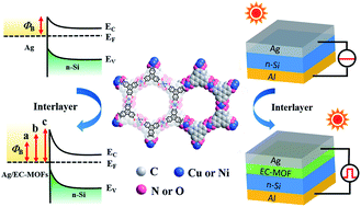 Graphical abstract: A highly oriented conductive MOF thin film-based Schottky diode for self-powered light and gas detection