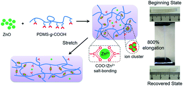 Graphical abstract: Design of a mechanically strong and highly stretchable thermoplastic silicone elastomer based on coulombic interactions