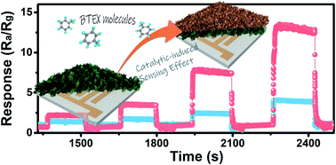 Graphical abstract: The catalytic-induced sensing effect of triangular CeO2 nanoflakes for enhanced BTEX vapor detection with conventional ZnO gas sensors