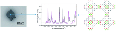 Graphical abstract: Metal defects in HKUST-1 MOF revealed by vibrational spectroscopy: a combined quantum mechanical and experimental study