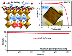 Graphical abstract: Moisture-tolerant and high-quality α-CsPbI3 films for efficient and stable perovskite solar modules