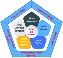 Graphical abstract: Recent advances in emerging Janus two-dimensional materials: from fundamental physics to device applications