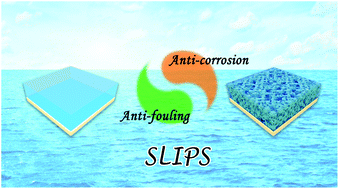 Graphical abstract: Slippery liquid-infused porous surfaces (SLIPSs): a perfect solution to both marine fouling and corrosion?