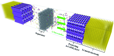 Graphical abstract: Long-lifespan lithium–metal batteries obtained using a perovskite intercalation layer to stabilize the lithium electrode