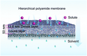 Graphical abstract: Accurately controlling the hierarchical nanostructure of polyamide membranes via electrostatic atomization-assisted interfacial polymerization