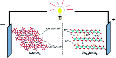 Graphical abstract: Hexagonal MoO3 as a zinc intercalation anode towards zinc metal-free zinc-ion batteries