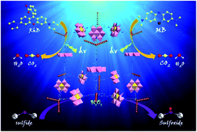 Graphical abstract: Anderson polyoxometalate built-in covalent organic frameworks for enhancing catalytic performances