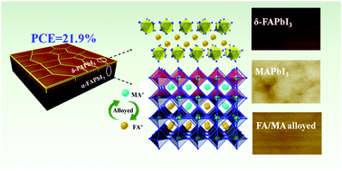 Graphical abstract: Synchronous surface and bulk composition management for red-shifted light absorption and suppressed interfacial recombination in perovskite solar cells