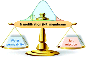 Graphical abstract: How to coordinate the trade-off between water permeability and salt rejection in nanofiltration?
