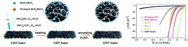 Graphical abstract: Flexible and free-standing hetero-electrocatalyst of high-valence-cation doped MoS2/MoO2/CNT foam with synergistically enhanced hydrogen evolution reaction catalytic activity