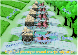 Graphical abstract: Thermodynamic and dynamic dual regulation Bi2O2CO3/Bi5O7I enabling high-flux photogenerated charge migration for enhanced visible-light-driven photocatalysis