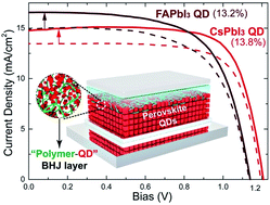 Graphical abstract: High-efficiency perovskite quantum dot solar cells benefiting from a conjugated polymer-quantum dot bulk heterojunction connecting layer