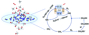 Graphical abstract: Highly selective aerobic oxidation of methane to methanol over gold decorated zinc oxide via photocatalysis