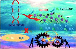 Graphical abstract: Hydrogen generation from toxic formaldehyde catalyzed by low-cost Pd–Sn alloys driven by visible light