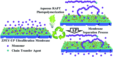 Graphical abstract: Hydrophilic ultrafiltration membranes with surface-bound eosin Y for an integrated synthesis-separation system of aqueous RAFT photopolymerization