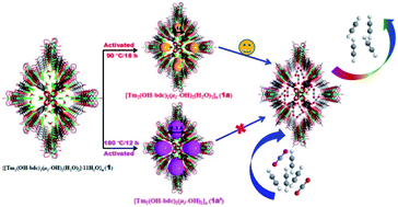 Graphical abstract: Inverse and highly selective separation of CO2/C2H2 on a thulium–organic framework