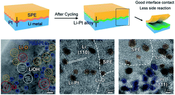 Graphical abstract: Platinum nano-interlayer enhanced interface for stable all-solid-state batteries observed via cryo-transmission electron microscopy