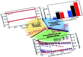 Graphical abstract: Proton exchange membranes containing densely sulfonated quinquephenylene groups for high performance and durable fuel cells