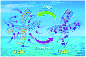 Graphical abstract: High performance potassium–sulfur batteries and their reaction mechanism