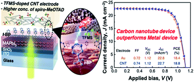 Graphical abstract: Carbon nanotubes to outperform metal electrodes in perovskite solar cells via dopant engineering and hole-selectivity enhancement