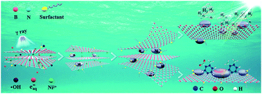 Graphical abstract: Ni-nanoparticle-bound boron nitride nanosheets prepared by a radiation-induced reduction-exfoliation method and their catalytic performance