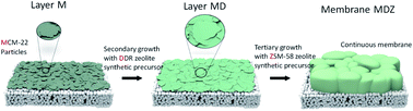 Graphical abstract: An unprecedented c-oriented DDR@MWW zeolite hybrid membrane: new insights into H2-permselectivities via six membered-ring pores