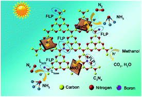 Graphical abstract: Polymeric carbon nitride with frustrated Lewis pair sites for enhanced photofixation of nitrogen