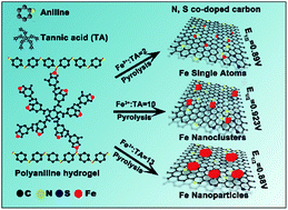 Graphical abstract: Controlled chelation between tannic acid and Fe precursors to obtain N, S co-doped carbon with high density Fe-single atom-nanoclusters for highly efficient oxygen reduction reaction in Zn–air batteries