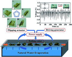 Graphical abstract: Tough biomimetic films for harnessing natural evaporation for various self-powered devices