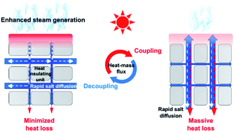 Graphical abstract: A salt-rejecting anisotropic structure for efficient solar desalination via heat–mass flux decoupling