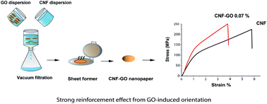 Graphical abstract: Strong reinforcement effects in 2D cellulose nanofibril–graphene oxide (CNF–GO) nanocomposites due to GO-induced CNF ordering