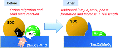 Graphical abstract: Electrocatalytic activity compensation mechanism upon long-term operation of solid oxide fuel cells; LSCM cathode/SDC interlayer/YSZ electrolyte system