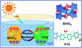 Graphical abstract: Photocatalyst Z-scheme system composed of a linear conjugated polymer and BiVO4 for overall water splitting under visible light