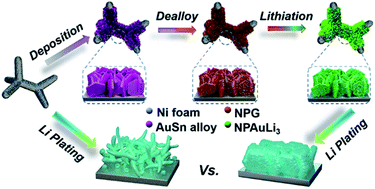 Graphical abstract: Coupling of triporosity and strong Au–Li interaction to enable dendrite-free lithium plating/stripping for long-life lithium metal anodes
