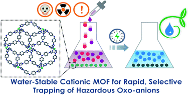 Graphical abstract: Rapid, selective capture of toxic oxo-anions of Se(iv), Se(vi) and As(v) from water by an ionic metal–organic framework (iMOF)