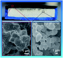 Graphical abstract: A yolk@shell superhydrophobic/superhydrophilic solar evaporator for efficient and stable desalination