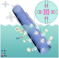 Graphical abstract: Chemical design and synthesis of superior single-atom electrocatalysts via in situ polymerization