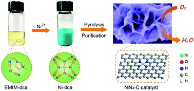 Graphical abstract: Single-atom-sized Ni–N4 sites anchored in three-dimensional hierarchical carbon nanostructures for the oxygen reduction reaction