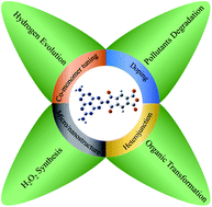 Graphical abstract: Polyimide-based photocatalysts: rational design for energy and environmental applications